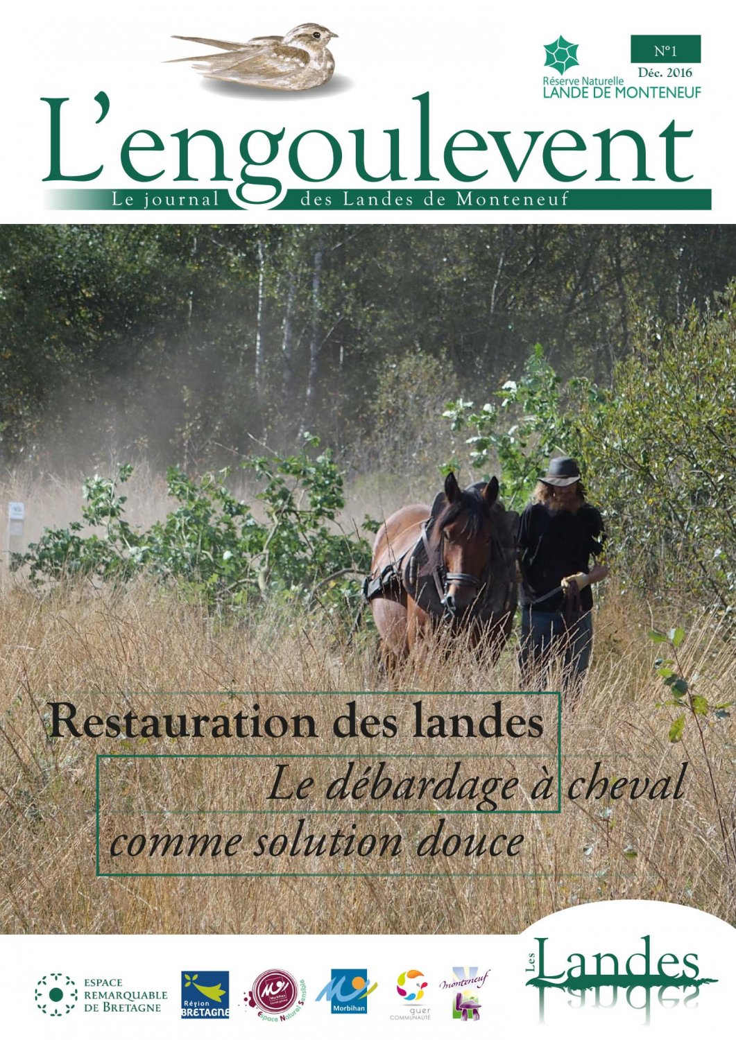 L'engoulevent N°1